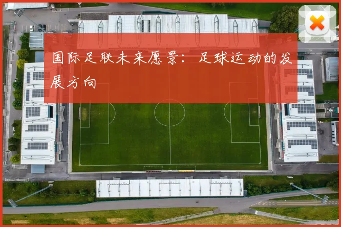 国际足联未来愿景:足球运动的发展方向