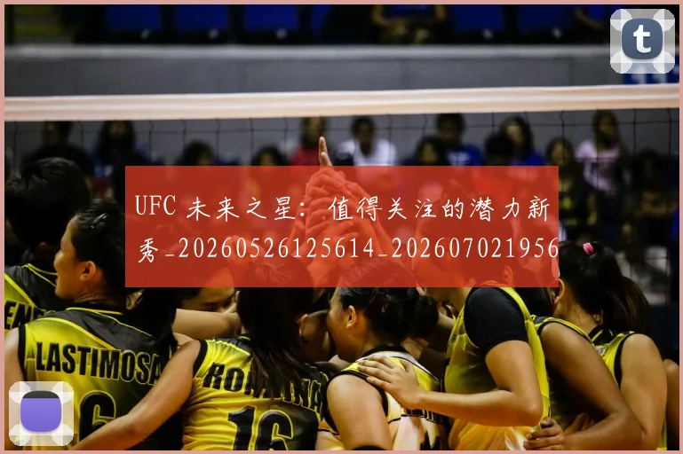 UFC 未来之星：值得关注的潜力新秀_20260526125614_20260702195626_20260714215647