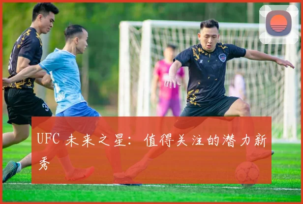 UFC 未来之星：值得关注的潜力新秀