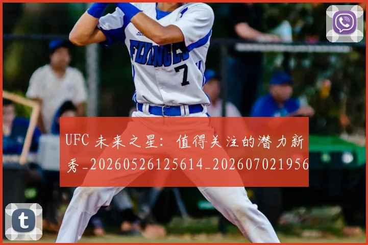UFC 未来之星：值得关注的潜力新秀_20260526125614_20260702195626_20260714215647